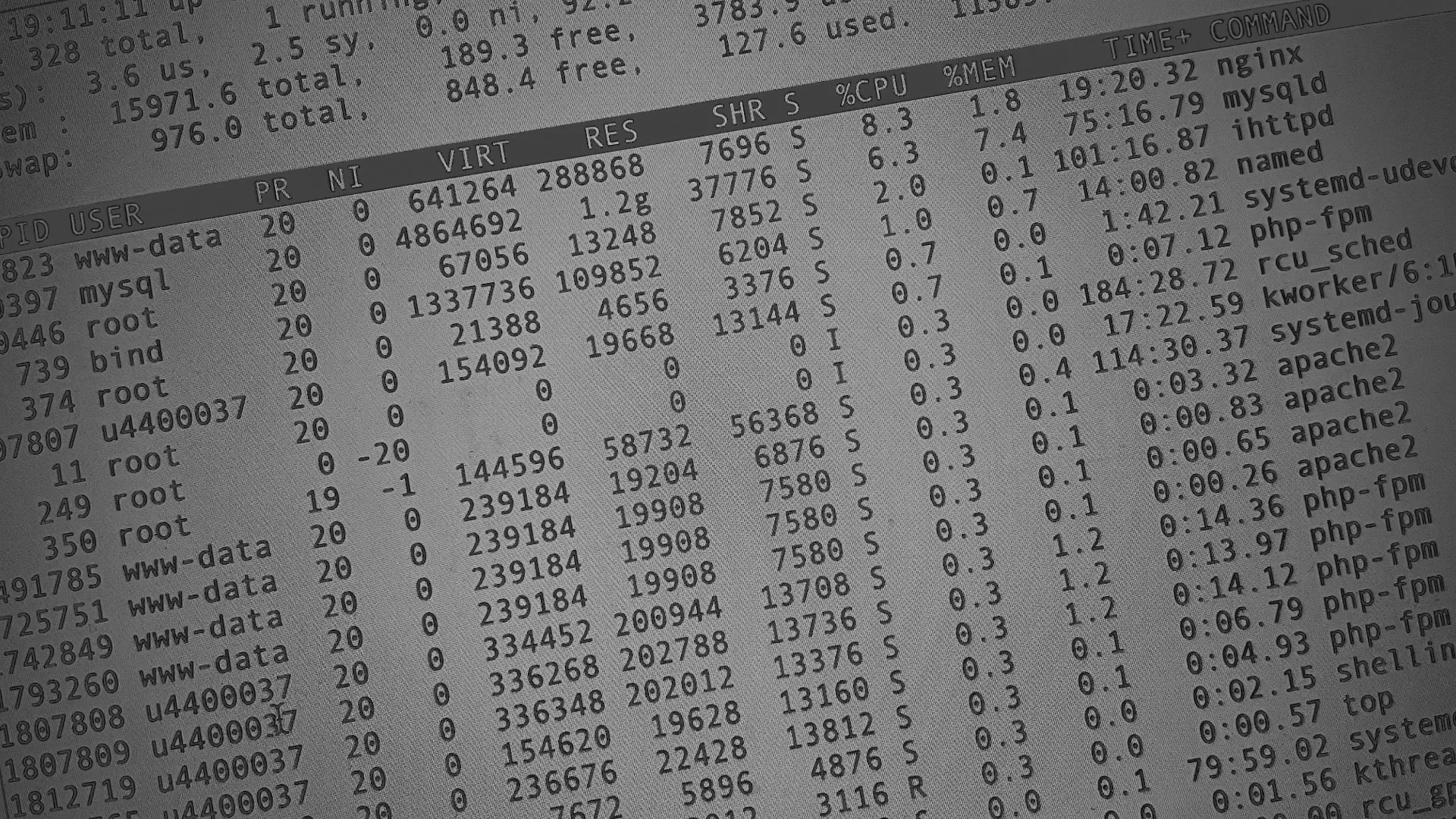 Настройка сервера в Абазе