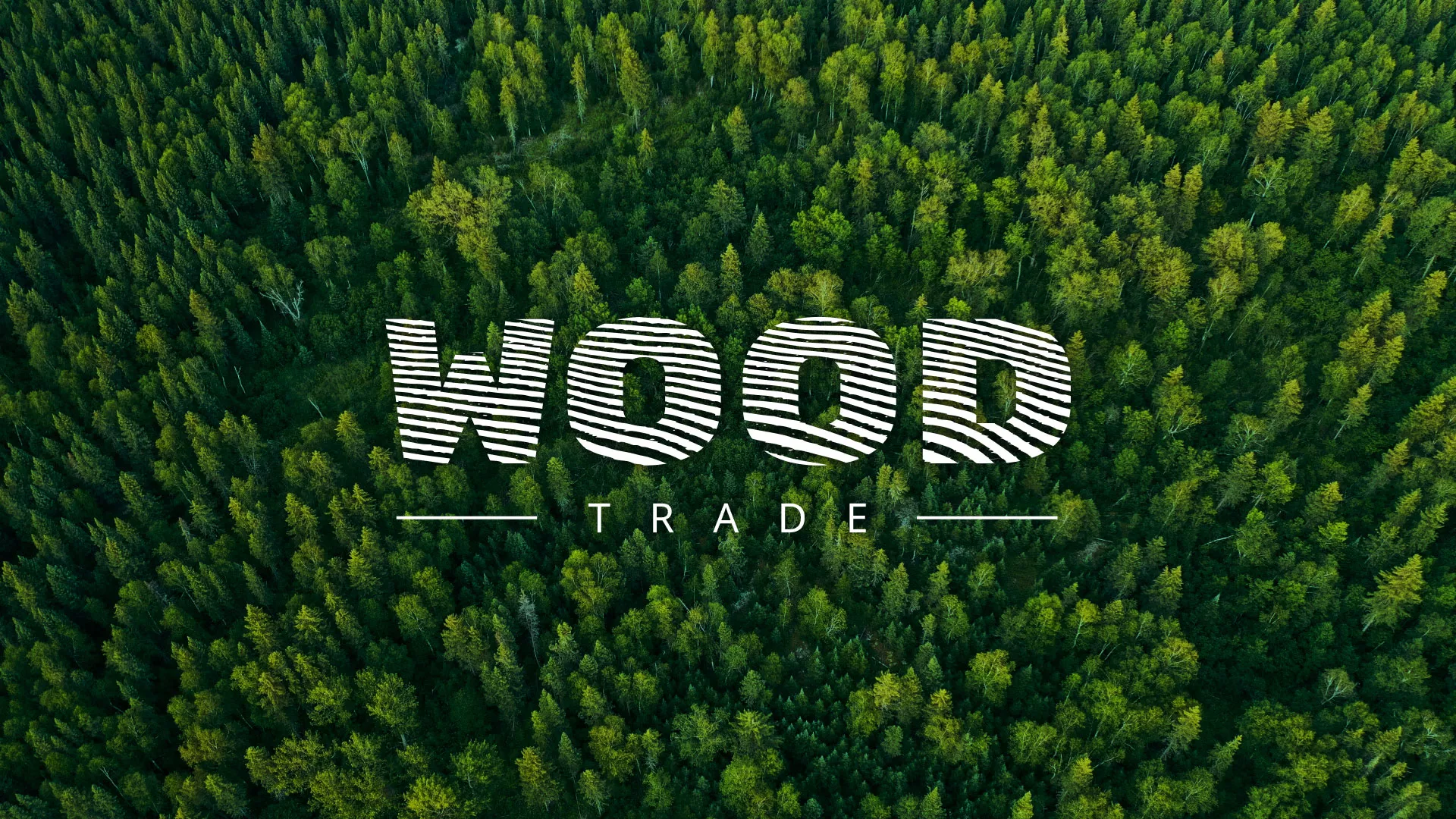 Разработка интернет-магазина компании «Wood Trade» в Абазе