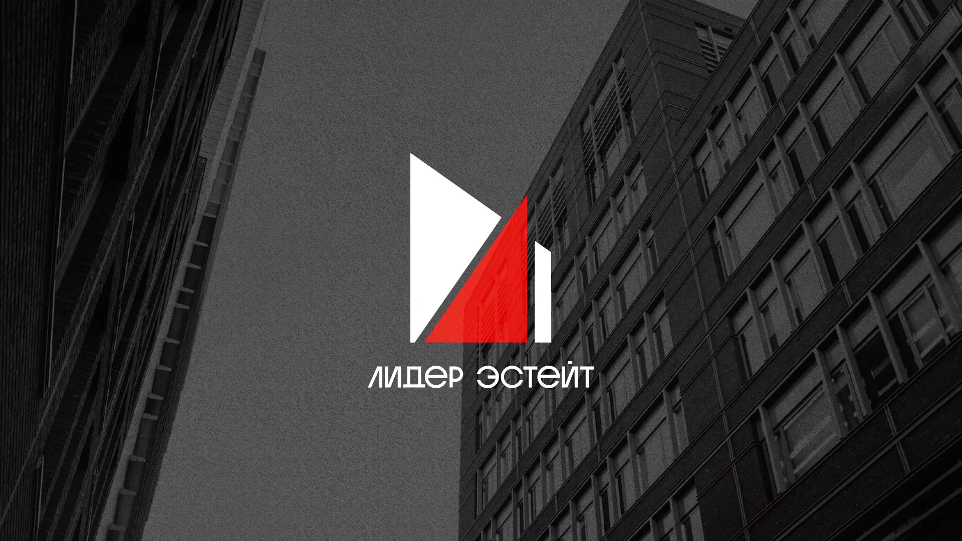 Сделали логотип для агентства недвижимости «Лидер Эстейт» в Абазе